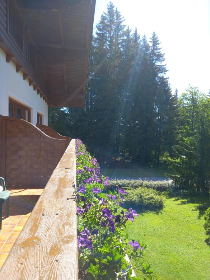 Landhaus Wieser Ramsau am Dachstein Ngoại thất bức ảnh